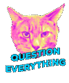 Cat head saying question everything